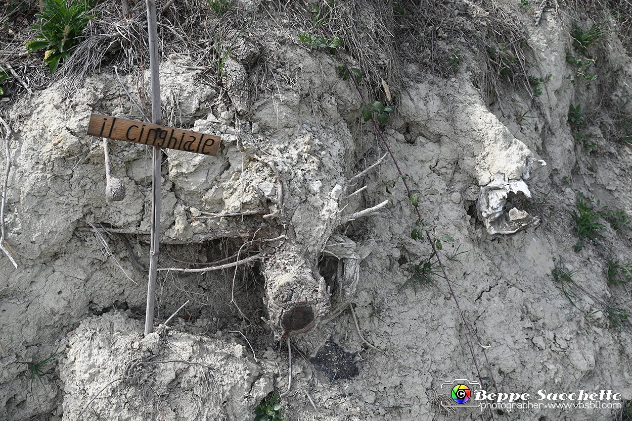 VBS_3195 - Mango (Cuneo) - Gnomovia.jpg